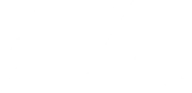 Electronic Arts