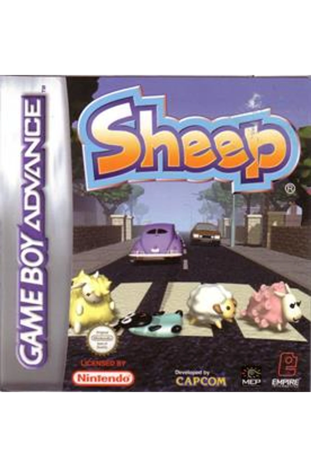 Sheep