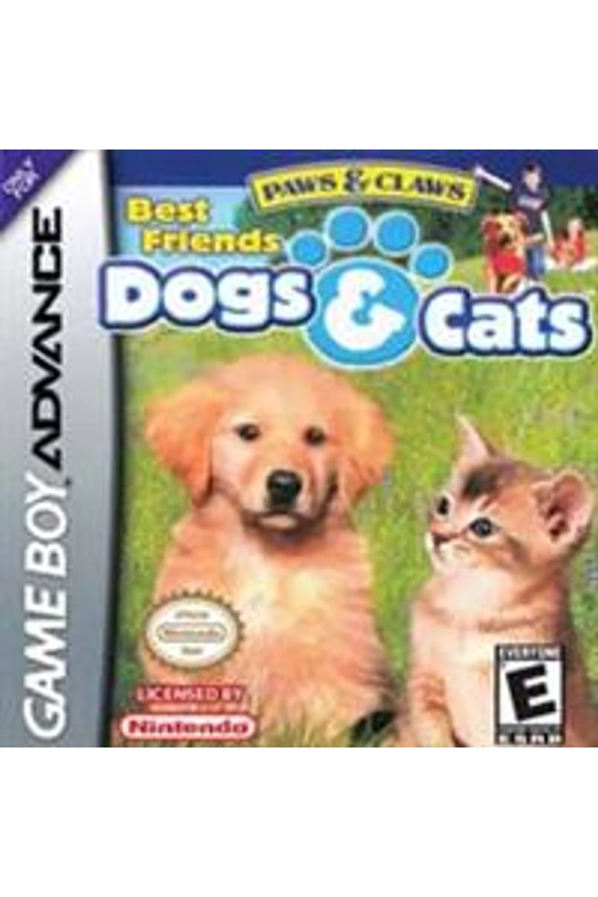 Best Friends: Dogs & Cats