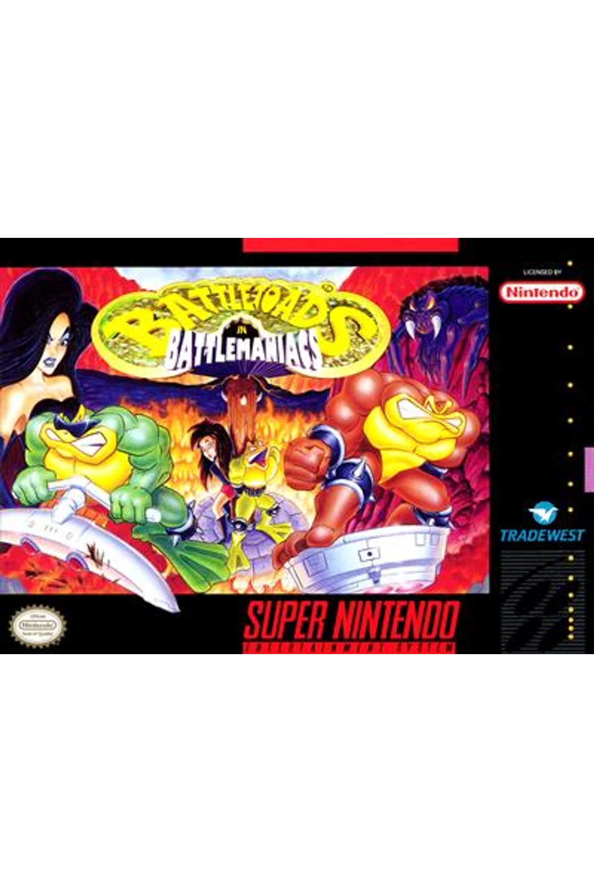 Battletoads in Battlemaniacs