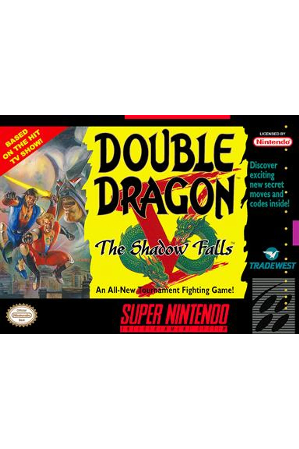 Double Dragon V: The Shadow Falls