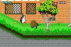 Screenshot 13